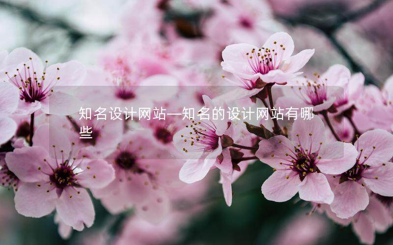 知名設(shè)計(jì)網(wǎng)站—知名的設(shè)計(jì)網(wǎng)站有哪些